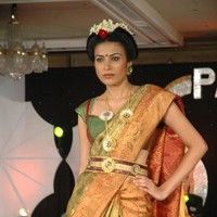 Palam Silk Fashion Show 2011 Pictures | Picture 74234